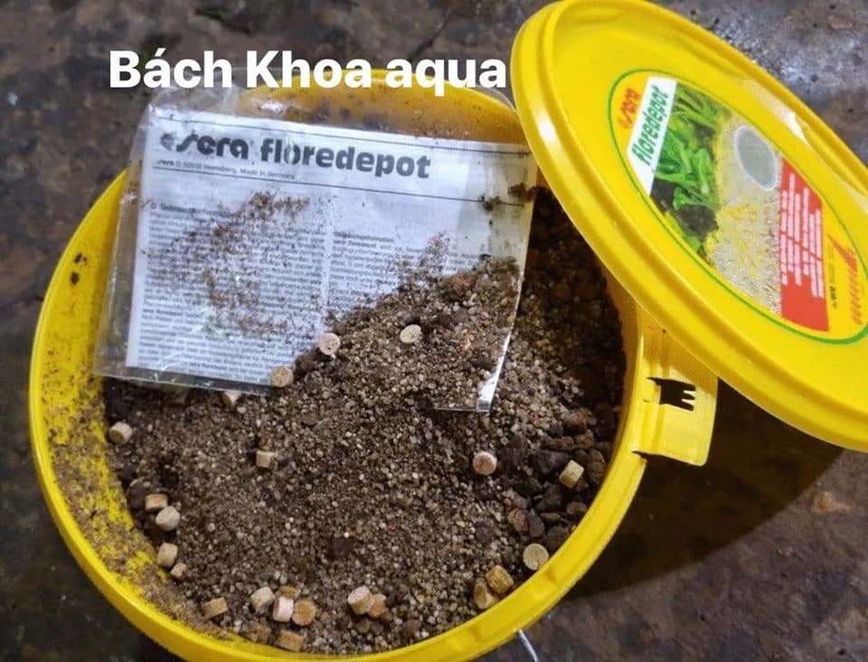 Nền trộn - Cốt nền cao cấp Sera Floredepot